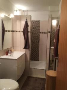 La salle de bains est pourvue d'une douche, de toilettes et d'un lavabo. dans l'établissement Unterkunft FLUMSERBERG TANNENHEIM, à Flumserberg