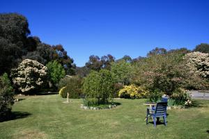 Serena Cottages Beechworth - Your Country Getaway - 2外面的花园