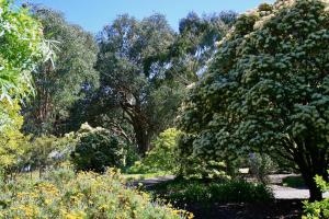 Serena Cottages Beechworth - Your Country Getaway - 2外面的花园