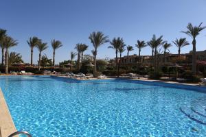 a pool at a resort with palm trees at Tamra Beach Resort in Sharm El Sheikh