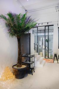 eine Palme in einem großen Topf in einem Zimmer in der Unterkunft Modern Minimalism - Mandarin Palm Penthouse in Bangkok