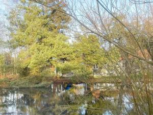 內克瑟的住宿－8 person holiday home in Nex，一座树上水体上的桥梁