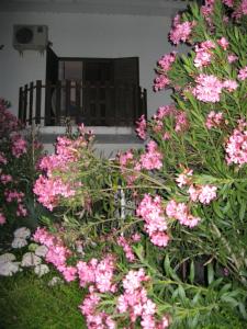 Um jardim no exterior de Residencial Morgado