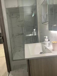 ein Bad mit einem Waschbecken und einer Glasdusche in der Unterkunft Home prestige 21 in Dijon