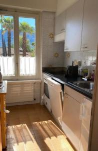 a kitchen with a view of a palm tree at Casa alle Vigne Apt 101 in Ascona