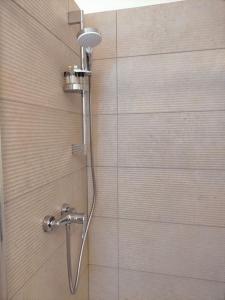 a shower with a shower head in a bathroom at Logement meublé au calme in Vertrieu