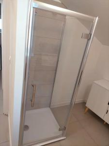 a walk in shower with a glass door at Logement meublé au calme in Vertrieu