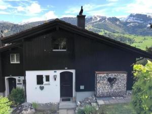 a black house with a cat sitting on top of it at Chalet Toggi in Wildhaus