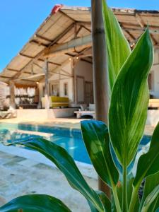 Bazén v ubytování Villa Manis nebo v jeho okolí