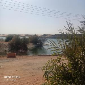 una vista de un cuerpo de agua en el desierto en Amon guest house en Abu Simbel