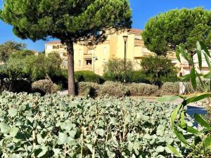 ein Feld von Pflanzen mit einem Gebäude im Hintergrund in der Unterkunft T3 climatisé, 3*, 50m de la plage, garage, wifi inclus - FR-1-610-37 in Bormes-les-Mimosas