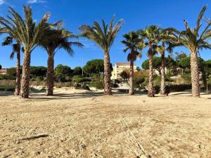 eine Gruppe Palmen auf einem sandigen Feld in der Unterkunft T3 climatisé, 3*, 50m de la plage, garage, wifi inclus - FR-1-610-37 in Bormes-les-Mimosas + 10 Fotos