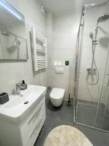 ein Badezimmer mit Toilette, Waschbecken und Dusche in der Unterkunft Brko 7 in Jahorina