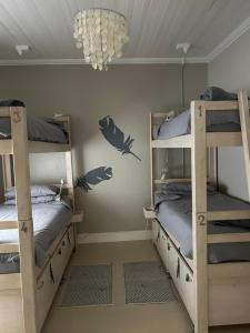 Giường trong phòng chung tại Cozy Corner Backpackers