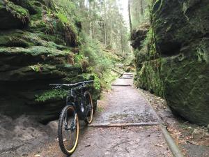 Una bicicleta estacionada en un sendero en el bosque en Ferienwohnung Julia en Hohnstein