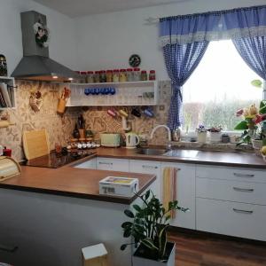 a kitchen with white cabinets and a counter top at Holiday Home Paunovaca in Erdut +31 photos
