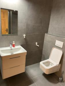 Koupelna v ubytování Wellness apartmán Pila Kvilda + 8 fotografií