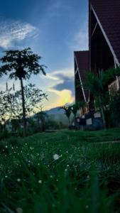 ein Grasfeld mit einem Haus im Hintergrund in der Unterkunft dbelish village & resto in batumadeg