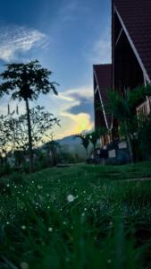 Zahrada ubytování dbelish village & resto