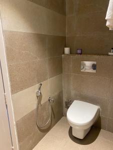 ein Bad mit einem WC und einer Dusche in der Unterkunft Hotel Ami Grace in Port Blair