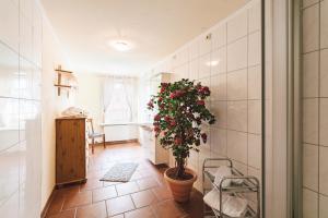 Hotel Einbecker Hof في آينبك: حمام مع بوتاجاز في الغرفة