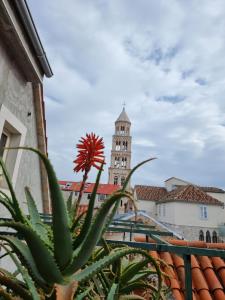 a cactus in front of a building with a clock tower at Malena Palace Experience in Split