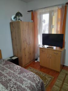 a bedroom with a bed and a flat screen tv at Casuta Maria Alexandra in Călimăneşti