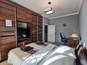 a bedroom with a bed and a desk and a television at Smart Business Apartman in Miskolc in Miskolc