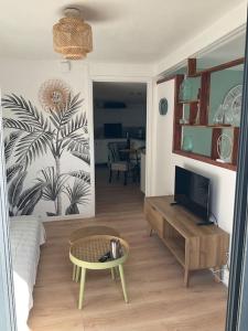 TV a/nebo společenská místnost v ubytování La Kaz Hibiscus, jacuzzi privé