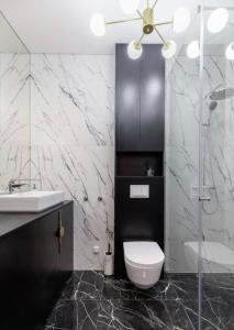 a bathroom with a toilet and a sink and a shower at Amber Stone Apartment 1st floor in Palanga
