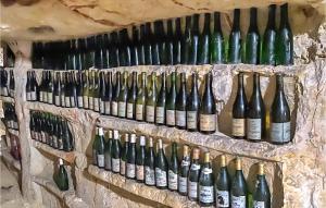 un bouquet de bouteilles de vin est bordé sur un mur dans l'établissement Amazing Home In Conflans Sur Anille With Sauna, à Conflans-sur-Anille