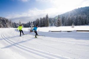 Alpineas v zimě