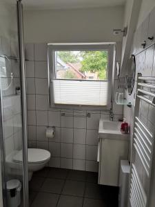 a small bathroom with a toilet and a window at Apartement Seestern mit kleinem Südbalkon, 100m zum Meer in Steinhude