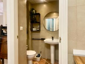 a bathroom with a sink and a toilet and a mirror at Apartamento Puerta del Camino 1 in Bilbao