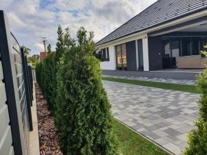 Fotografia z galérie ubytovania Solymos Apartmanház v destinácii Vámosatya