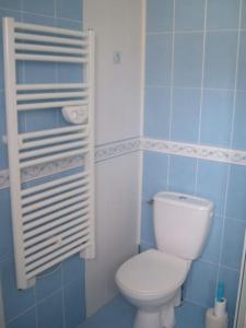 uma casa de banho com um WC branco e azulejos azuis em Vacances à la Tranche sur Mer em La Tranche-sur-Mer