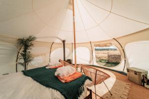 班堡的住宿－Bamburgh Under Canvas，帐篷内的卧室,配有一张床