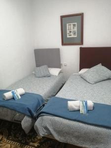 two twin beds in a room with blue sheets at Apartamento 2 dormitorios Barrio Lavapies in Madrid
