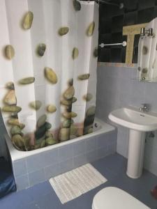 a bathroom with a shower curtain with a toilet and a sink at Apartamento 2 dormitorios Barrio Lavapies in Madrid