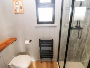 a bathroom with a shower and a toilet and a window at The Queen Bee in Pembroke