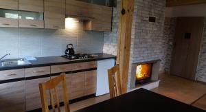 Il comprend une cuisine équipée d'une cuisinière et d'une cheminée. dans l'établissement Apartamenty Lucky-ski, à Ustrzyki Dolne