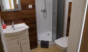 La salle de bains est pourvue d'une douche, d'un lavabo et de toilettes. dans l'établissement Apartamenty Lucky-ski, à Ustrzyki Dolne