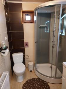 La salle de bains est pourvue de toilettes et d'une douche en verre. dans l'établissement Holiday Home La Vіta, à Yaremtche