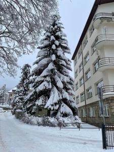 a snow covered christmas tree in front of a building at Apartament u Maliny in Krynica Zdrój