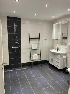 a bathroom with a shower and a sink at Appartment am Rosenplatz in Brechtorf