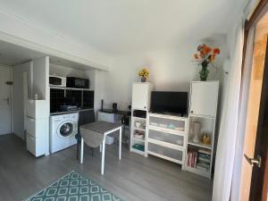 Kuchyňa alebo kuchynka v ubytovaní Studio pour 2 à 4 personnes sous les Pins climatisé