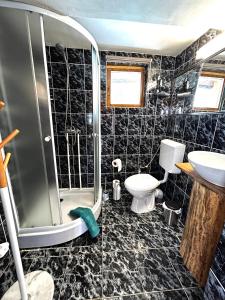 ein Bad mit einer Dusche, einem WC und einem Waschbecken in der Unterkunft Cabana Mia Parang in Petroşani