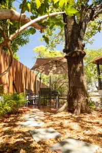une table et des chaises sous un arbre avec un parasol dans l'établissement Villa des 3 sables, MACABI, à Étang-Salé les Bains