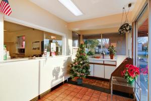 a kitchen with a christmas tree in a room at Hotel Petersburg VA I-95 & E Washington St in Petersburg