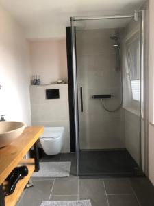 ein Bad mit einer Dusche, einem WC und einem Waschbecken in der Unterkunft Vogelhaus Rosenthal in Rosenthal